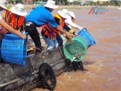 Quyết Tâm “Tái Tạo” Nguồn Lợi Thủy Sản