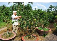 Nông Dân Làm Giàu Sau Xuất Ngoại