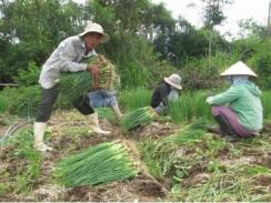 Trao “cần câu” cho nông dân