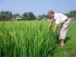 Nông Dân Tự Sản Xuất Chế Phẩm Sinh Học