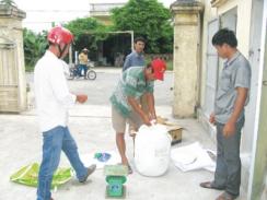 Xã Ðông Minh (Thái Bình) quyết liệt không để tôm bệnh bùng phát thành dịch