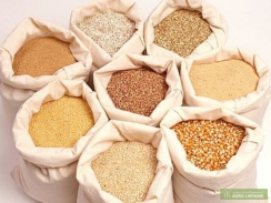 Giá ngũ cốc thế giới hôm nay 20/05/2021: Lúa mì ghi nhận mức sụt giảm lớn nhất