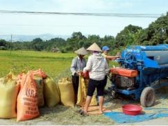 Quang Bình tập trung thu hoạch lúa và các loại cây trồng vụ Xuân