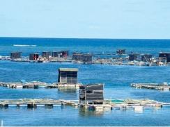 Phát triển kinh tế biển bền vững trước biến đổi khí hậu