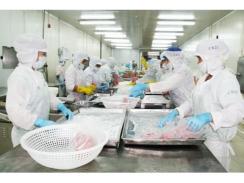 Khánh Hòa có 44 doanh nghiệp chế biến thủy sản đạt tiêu chuẩn xuất khẩu