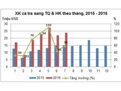 Thận trọng hơn khi đẩy mạnh xuất khẩu cá tra sang Trung Quốc