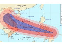 Công Điện Của Thủ Tướng Chỉ Đạo Đối Phó Với Bão HaiYan