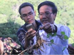 Phát triển hơn 14ha diện tích trồng cây dược liệu ở Tây Giang