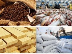 Collecting US$ 36 billion from exports of agricultural, forestry and fishery products