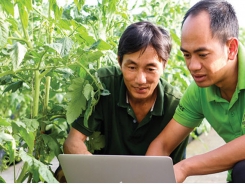 Broader digital application needed in agriculture