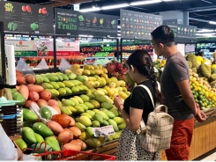 Việt Nam’s fruit and vegetable export value falls in 11 months