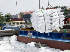 Growing demand for Vietnamese rice in Africa
