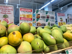 Vietnamese mango exports to U.S enjoying robust increase