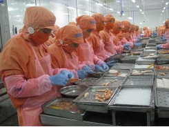 Will seafood exports reach over US$ 8 billion?