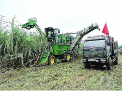 Thai sugar beats domestic supply