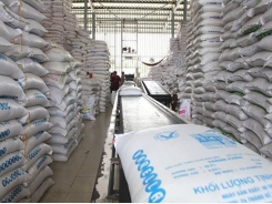 Gov’t orders solutions to support rice exporters to EU