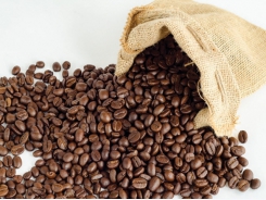 Vietnam is Russia's largest coffee supplier