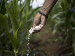 Rising fertilizer costs requires farmers to spread with caution