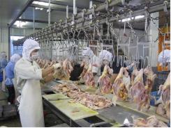 Vietnamese chicken breast to be exported to Japan