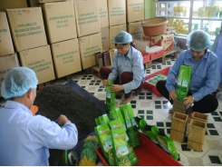 Vietnamese exports, not everyone’s cup of tea