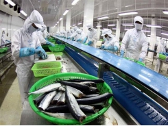 Fishery exports reach US$ 9 billion