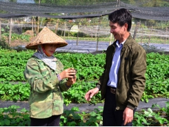 Building the brand for Vietnam's agricultural extension