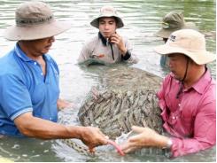 Cơ hội nào cho tôm, cá tra xuất khẩu?