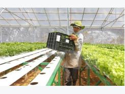 Agricultural sector pins hope on Japanese investment