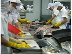 Vietnam tuna shipment targets to up 8% in 2017