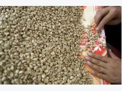 India, Vietnam lift import bans on coffee, pepper and other agro-products