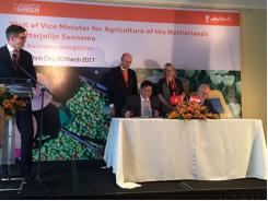 Vietnam, Netherlands to up agriculture ties