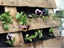 How to Make a Pallet Garden