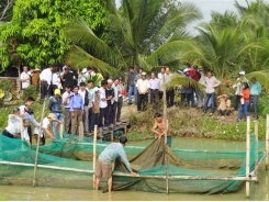 Nuôi thủy sản theo chuỗi không lo đầu ra