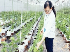 Encouraging enterprises to invest in agricultural development