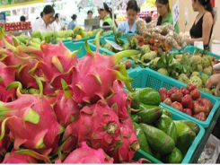 Fruit, vegetable sector targets US$ 4.2 billion in export turnover in 2019