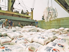 Việt Nam imports Indian broken rice