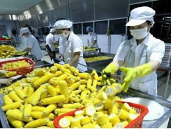 RCEP helps Vietnamese agricultural products reach out to the world