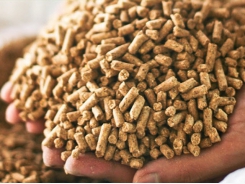 Animal feed exports exceed USD 1 billion mark for the first time