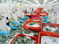 Export of aquatic products hits US$1.67 billion in first quarter