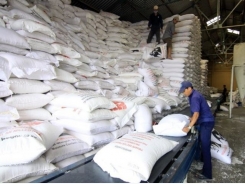 Philippines to import 250,000 tonnes of rice from Vietnam or Thailand
