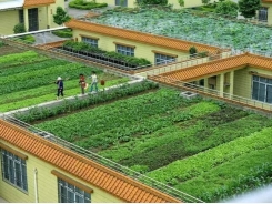 An Son well taps advantages for urban agricultural development