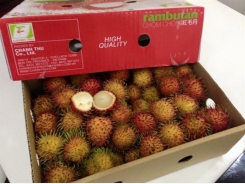 New Zealand welcomes VN rambutan