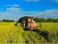 Vietnam sets to have 15,000 effective agricultural cooperatives