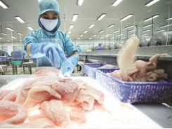 Cold supply chain: burning issue for Vietnam’s farm products