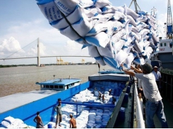 Vietnam eyes opportunities for rice exports to Senegal