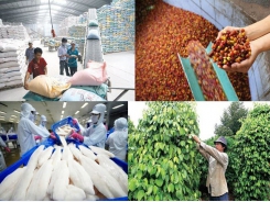 EVFTA offers market gap for national agricultural sector