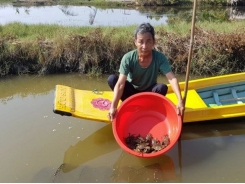 Mô hình nuôi cua hai giai đoạn