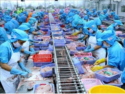 Viet Nam seafood exporters not too worried about COVID - 19