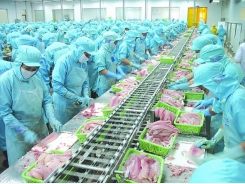 Prepare carefully for seafood export