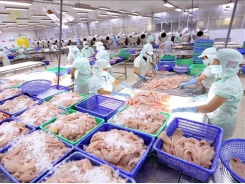 Aquatic product exports up 3 percent in Q1